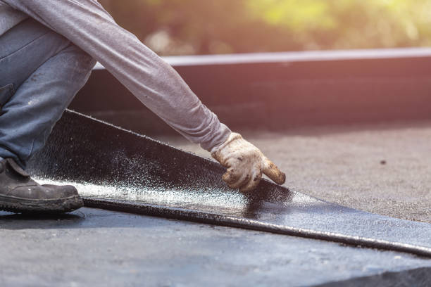 Professional Waterproofing technician working in Newbern, AL